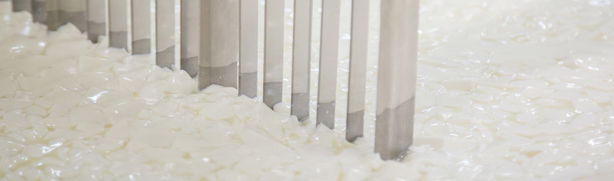 Cheesemaking